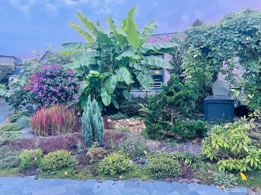 Prachtig Guesthouse Met Gratis Parkeren Maasmechelen Dış mekan fotoğraf